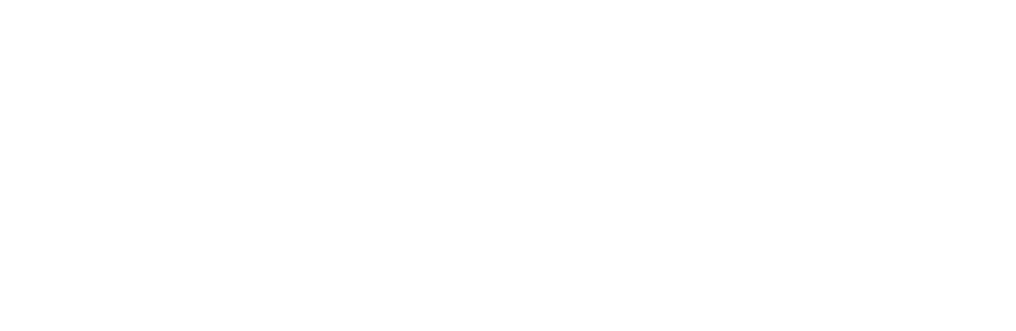 Premier Wealth Partners